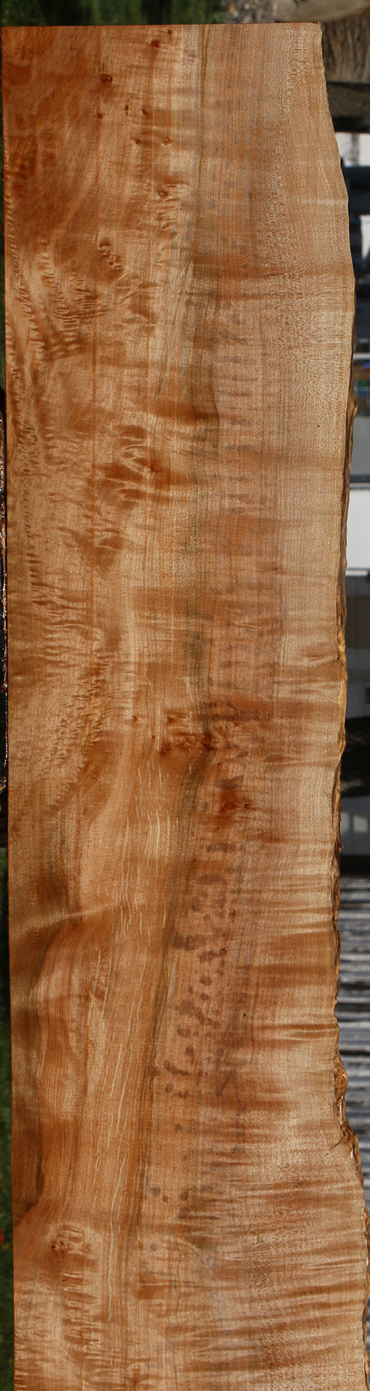 Extra Fancy Maple Live Edge Lumber