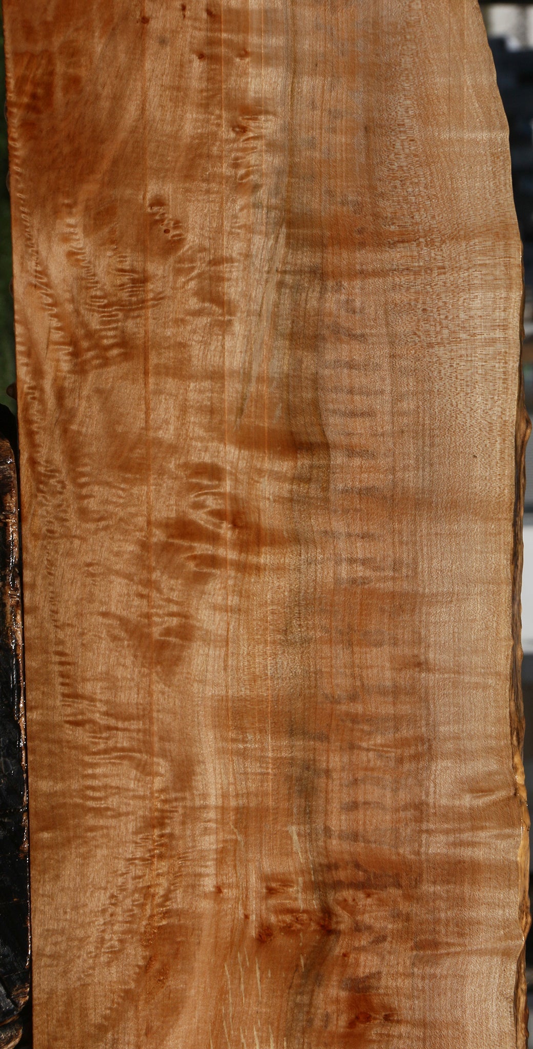 Extra Fancy Maple Live Edge Lumber