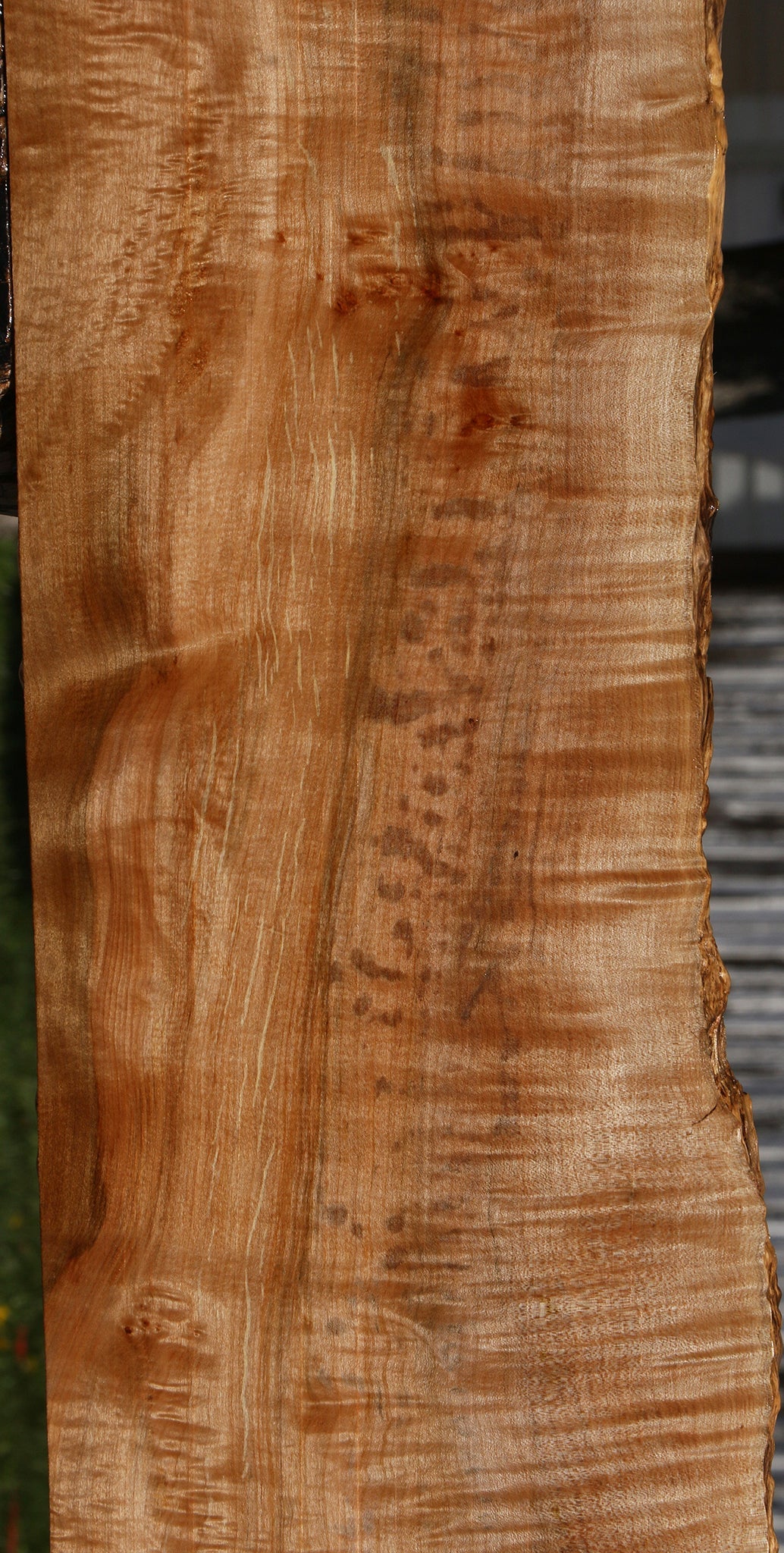 Extra Fancy Maple Live Edge Lumber