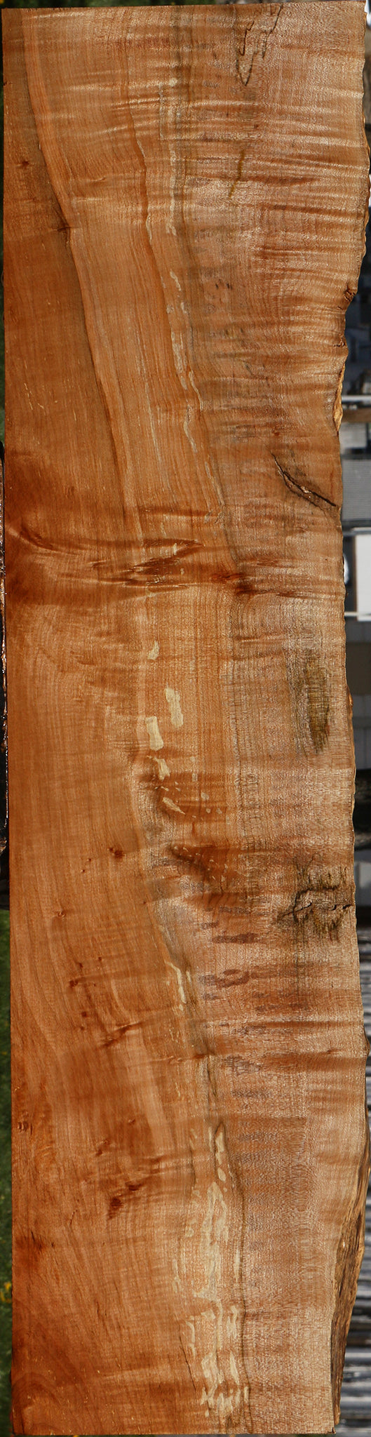 Extra Fancy Maple Live Edge Lumber