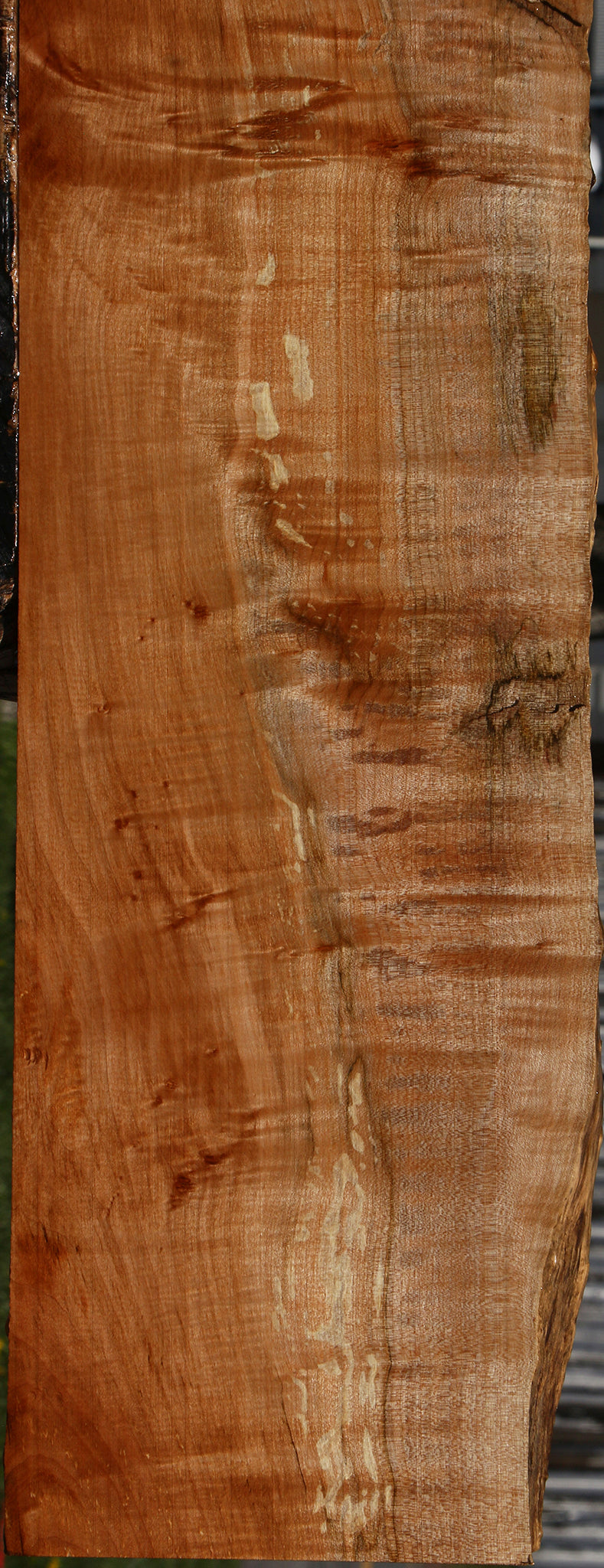 Extra Fancy Maple Live Edge Lumber