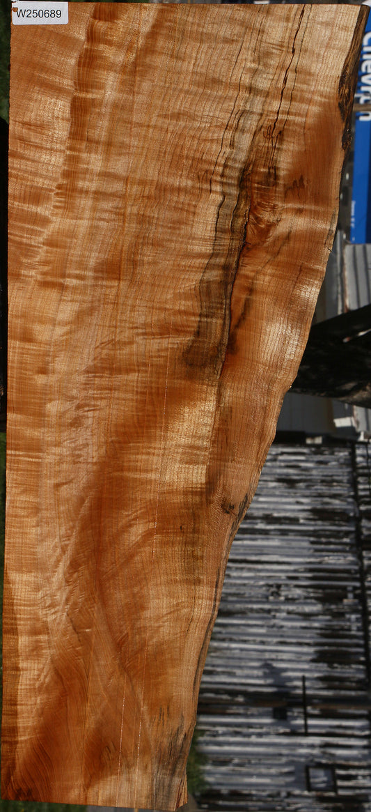 Extra Fancy Maple Live Edge Lumber