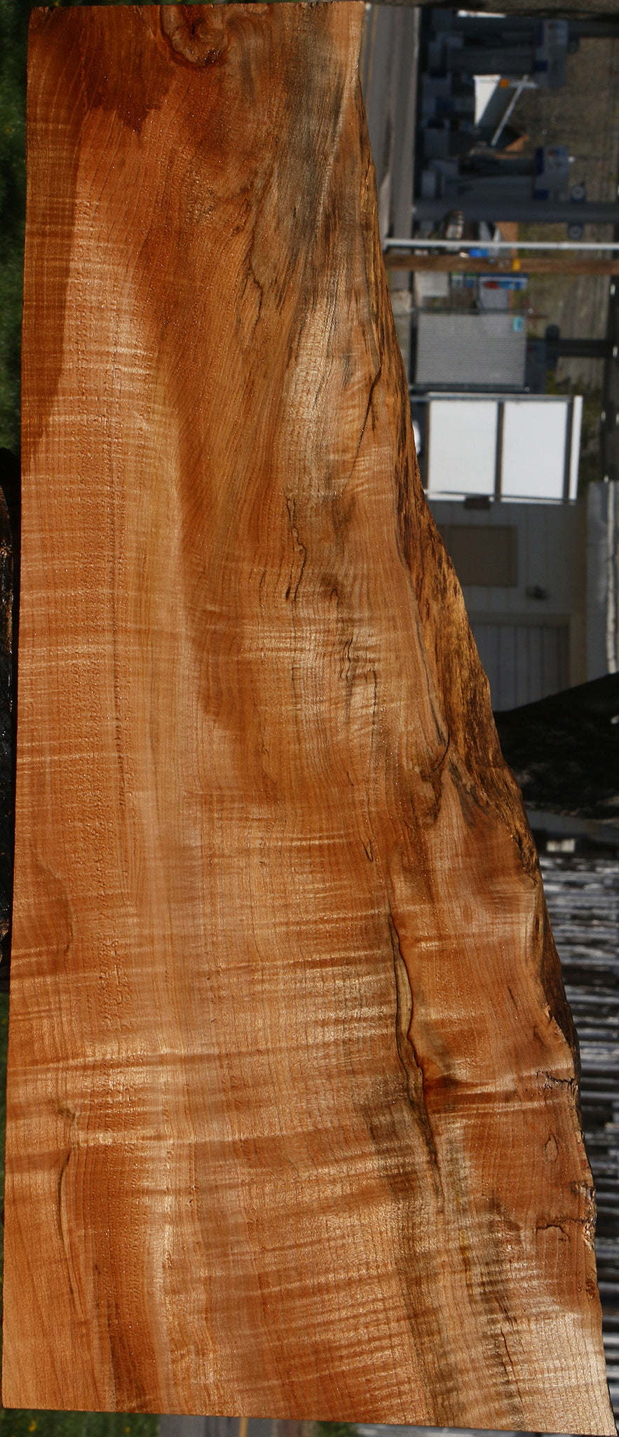 Extra Fancy Maple Live Edge Lumber