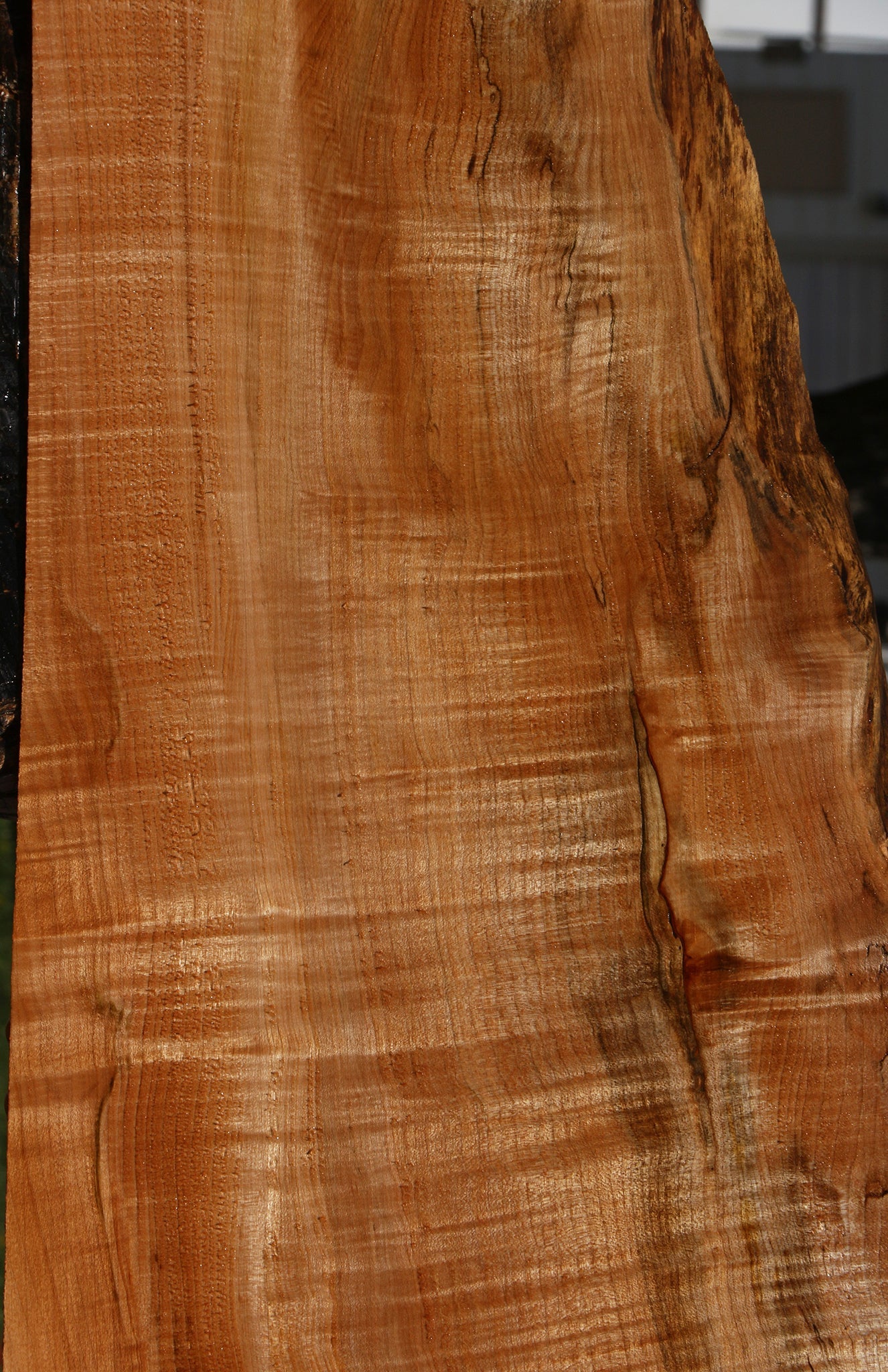 Extra Fancy Maple Live Edge Lumber