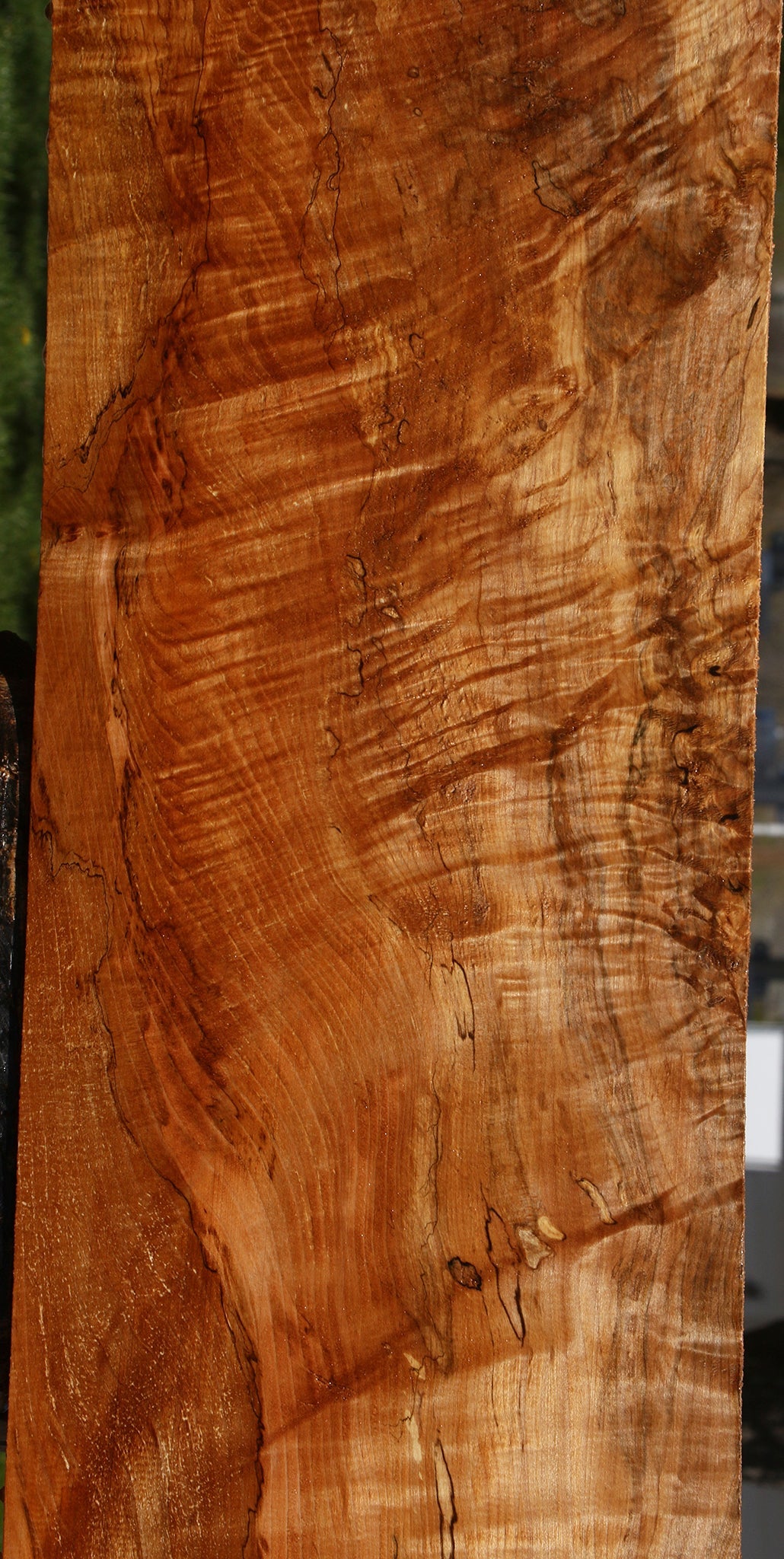 Extra Fancy Maple Lumber