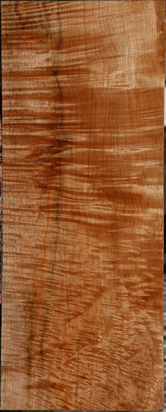 Extra Fancy Maple Instrument Lumber