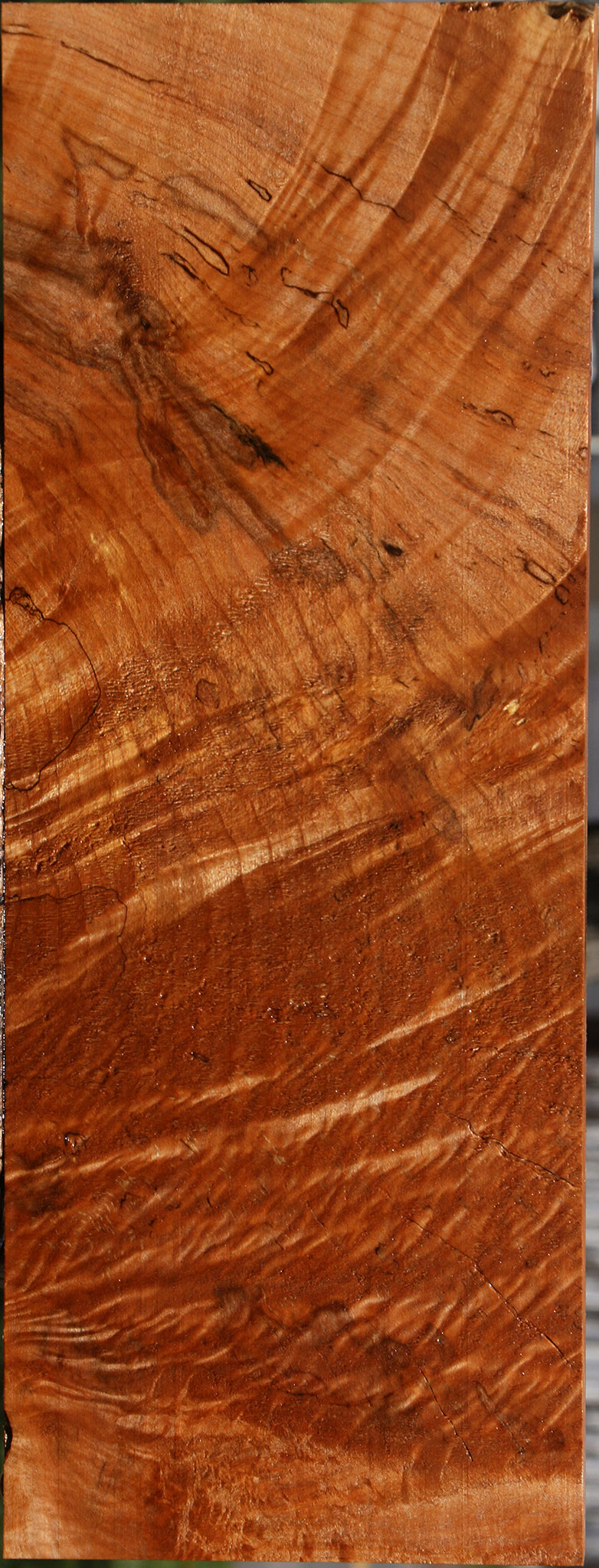 Extra Fancy Maple Instrument Lumber