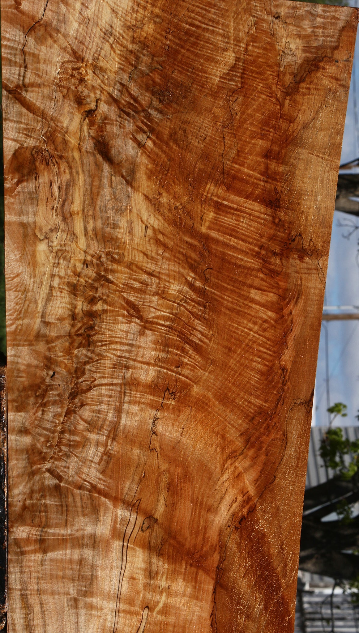 Extra Fancy Spalted Maple Lumber