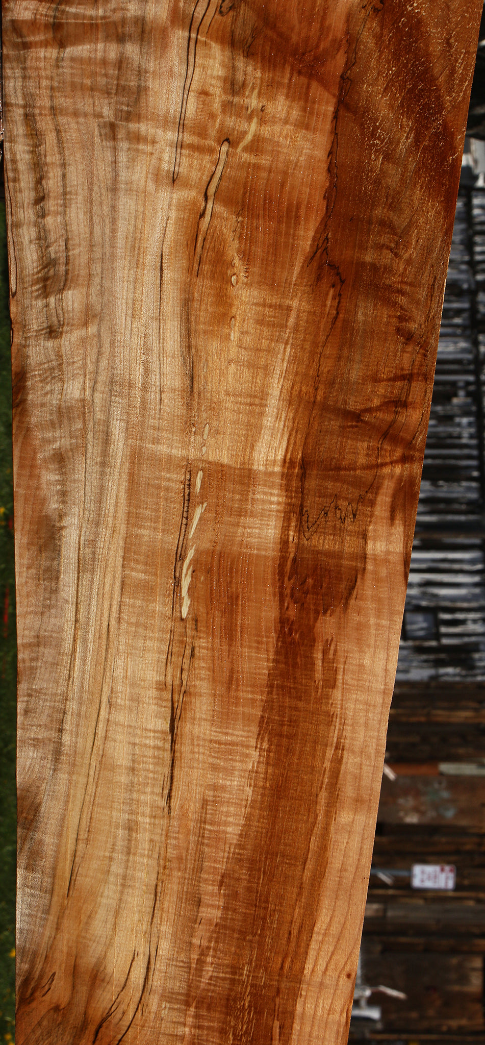Extra Fancy Spalted Maple Lumber