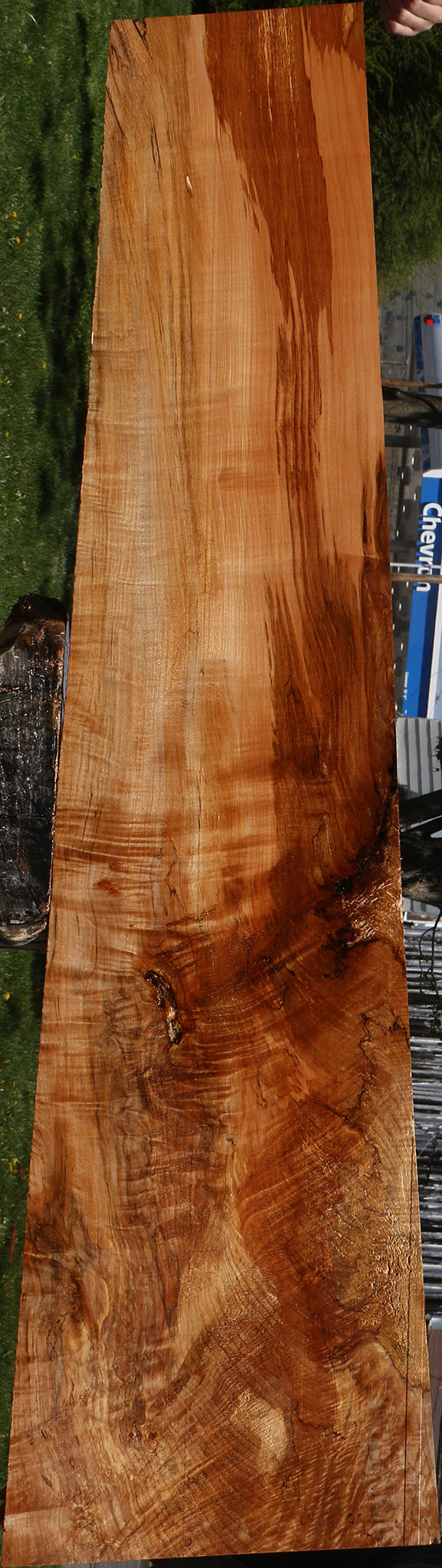 Extra Fancy Spalted Maple Lumber