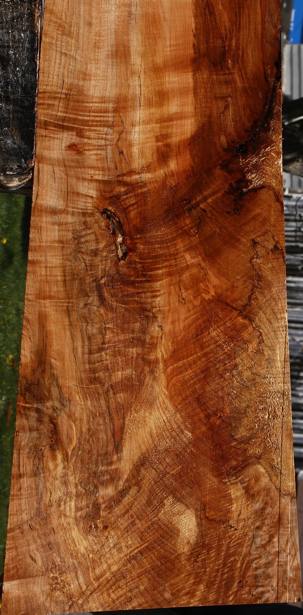 Extra Fancy Spalted Maple Lumber