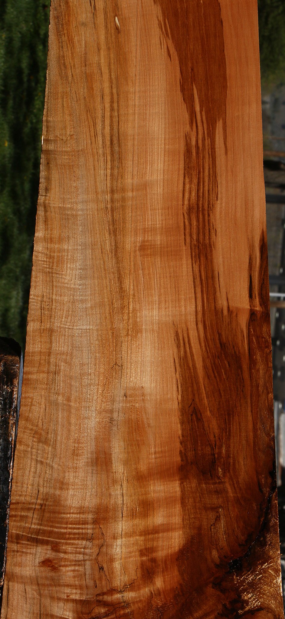 Extra Fancy Spalted Maple Lumber