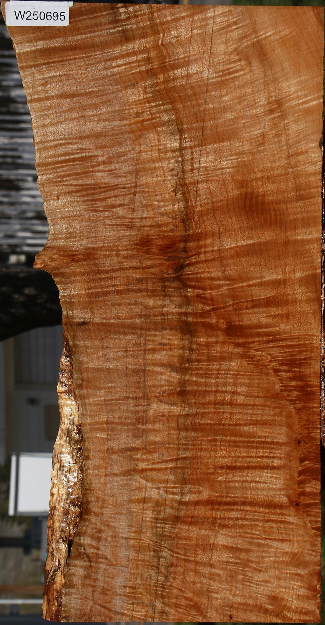 Extra Fancy Maple Instrument Live Edge Lumber