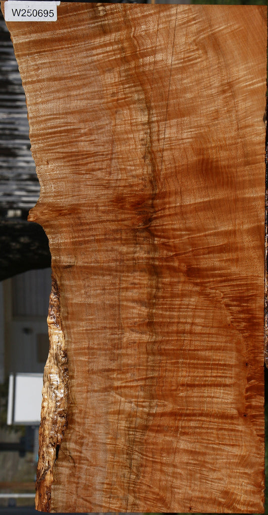 Extra Fancy Maple Instrument Live Edge Lumber