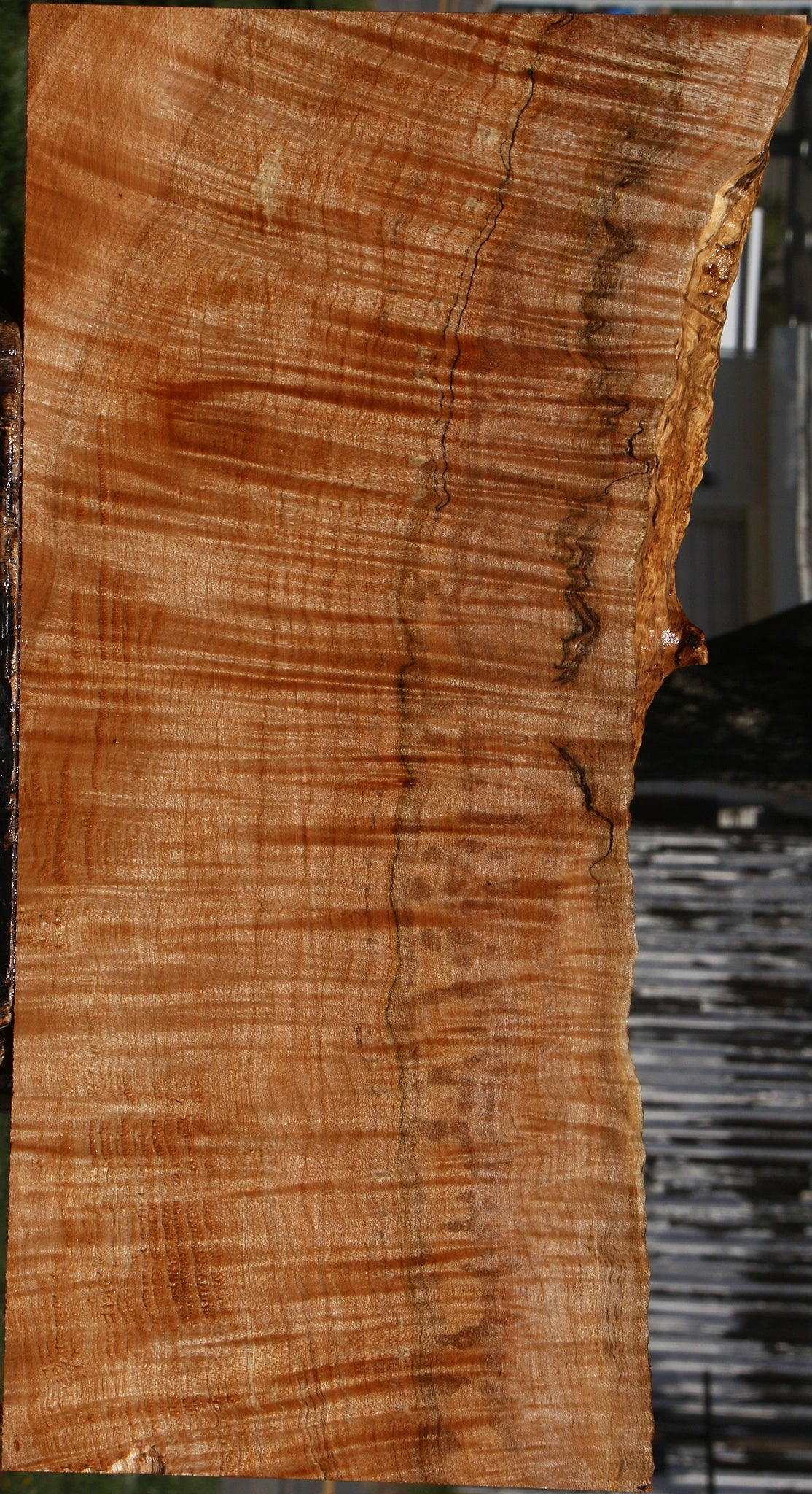 Extra Fancy Maple Instrument Live Edge Lumber