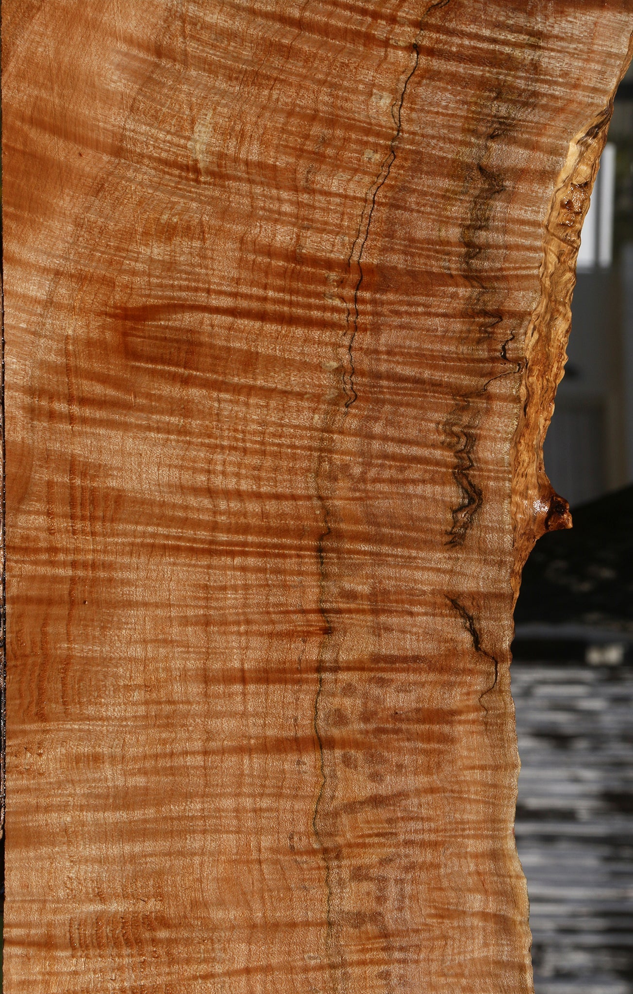 Extra Fancy Maple Instrument Live Edge Lumber
