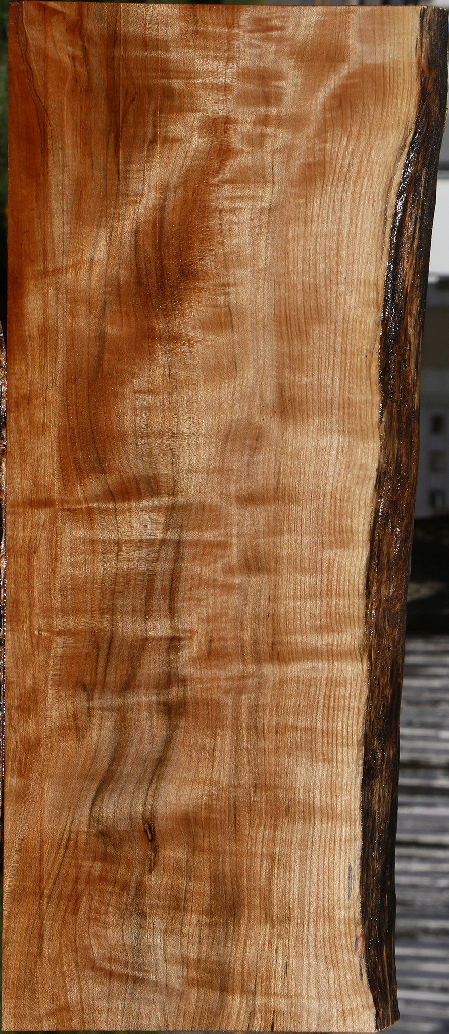 Extra Fancy Maple Instrument Live Edge Lumber