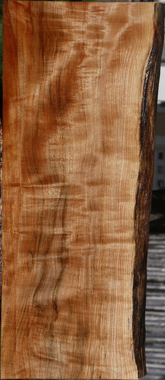 Extra Fancy Maple Instrument Live Edge Lumber