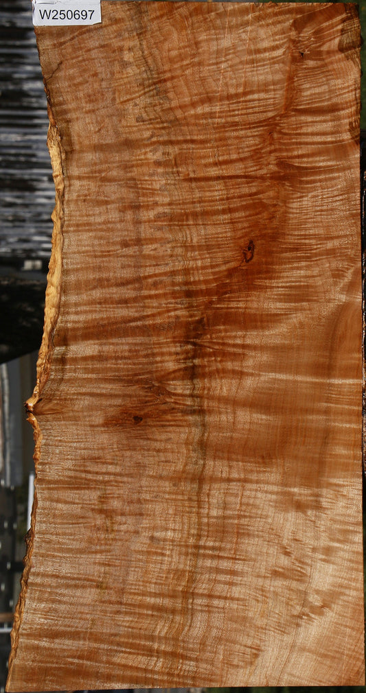 Extra Fancy Maple Instrument Live Edge Lumber