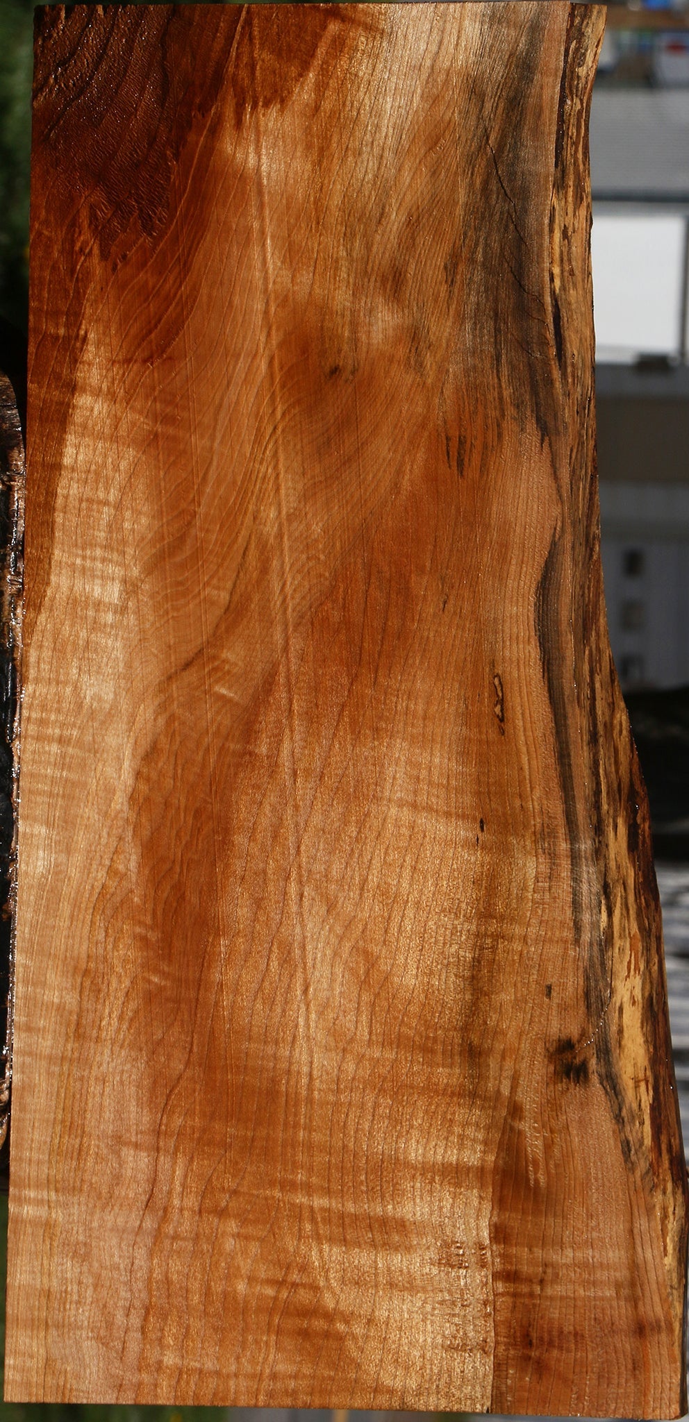 Extra Fancy Maple Live Edge Lumber