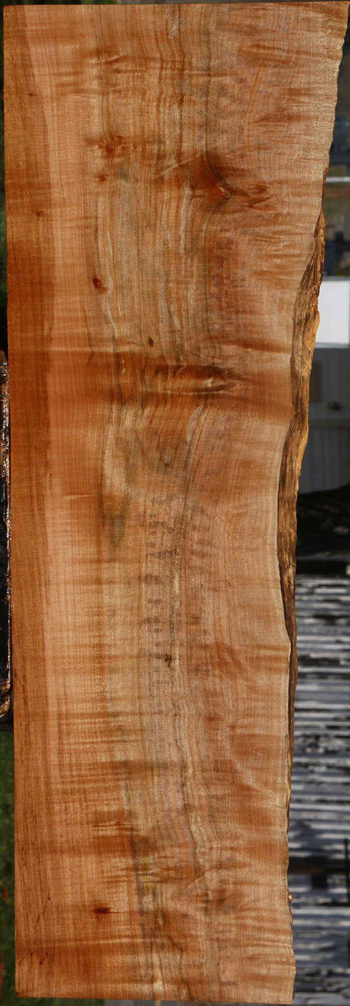 Extra Fancy Maple Live Edge Lumber