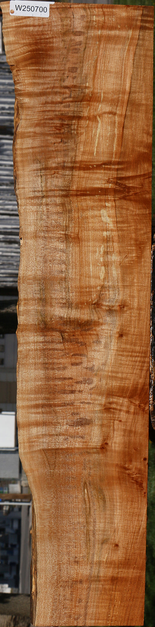 Extra Fancy Spalted Maple Live Edge Lumber