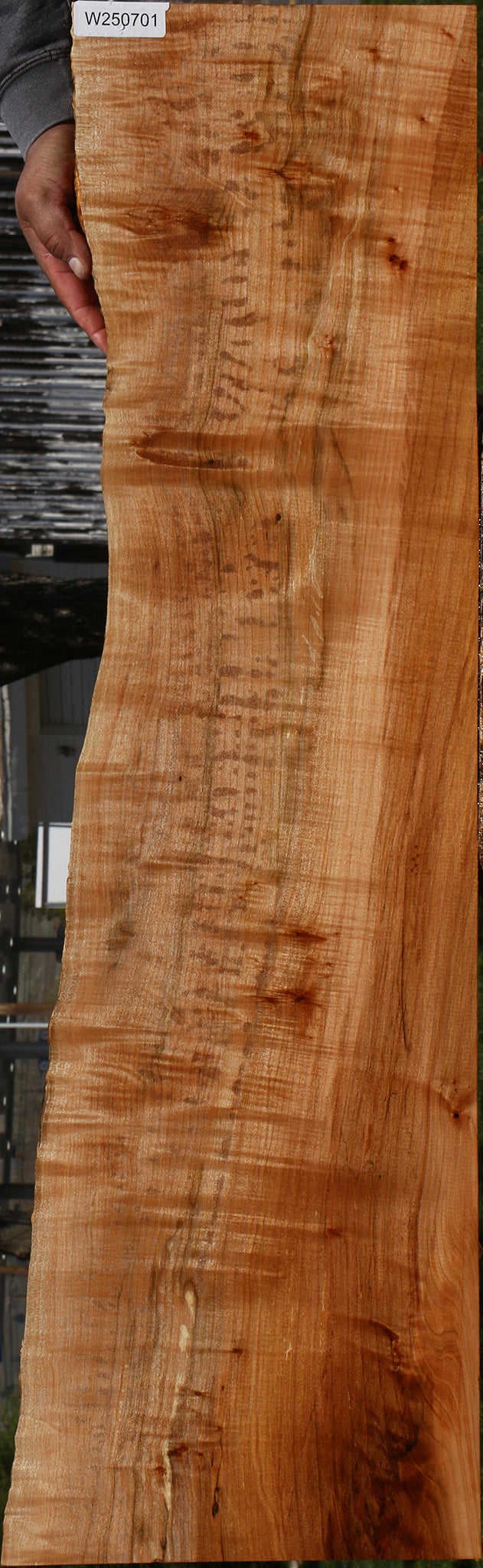Figured Maple Live Edge Lumber