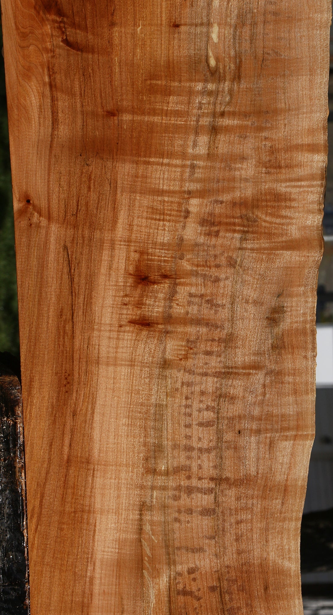 Figured Maple Live Edge Lumber