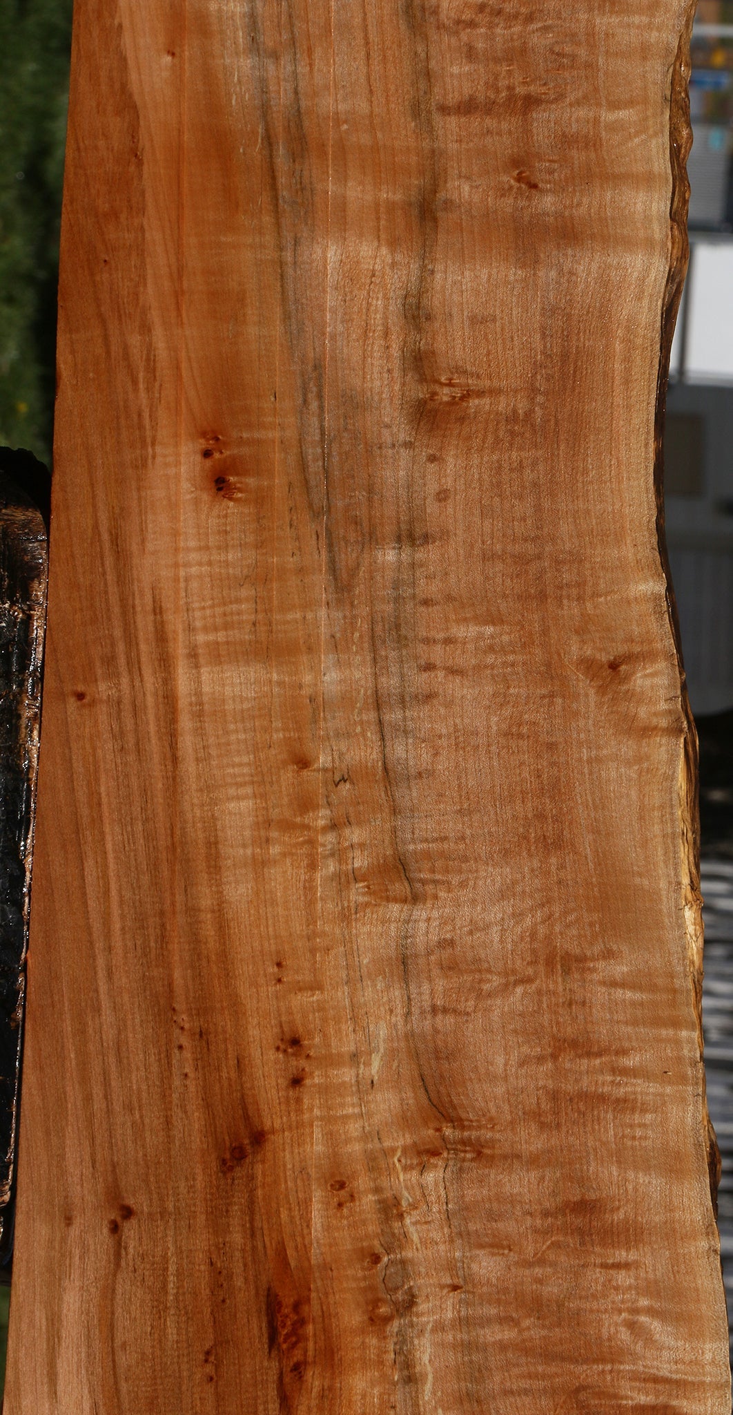 Figured Maple Live Edge Lumber