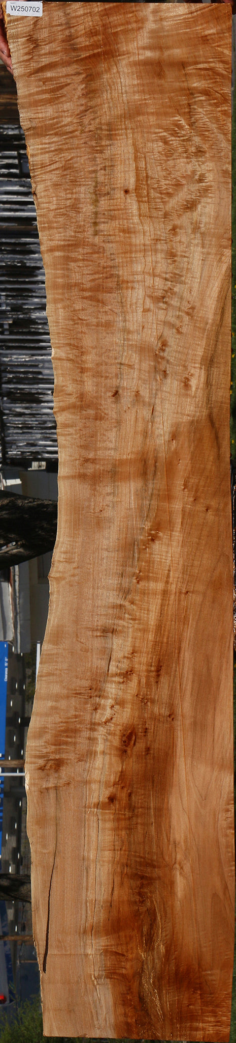Extra Fancy Maple Live Edge Lumber