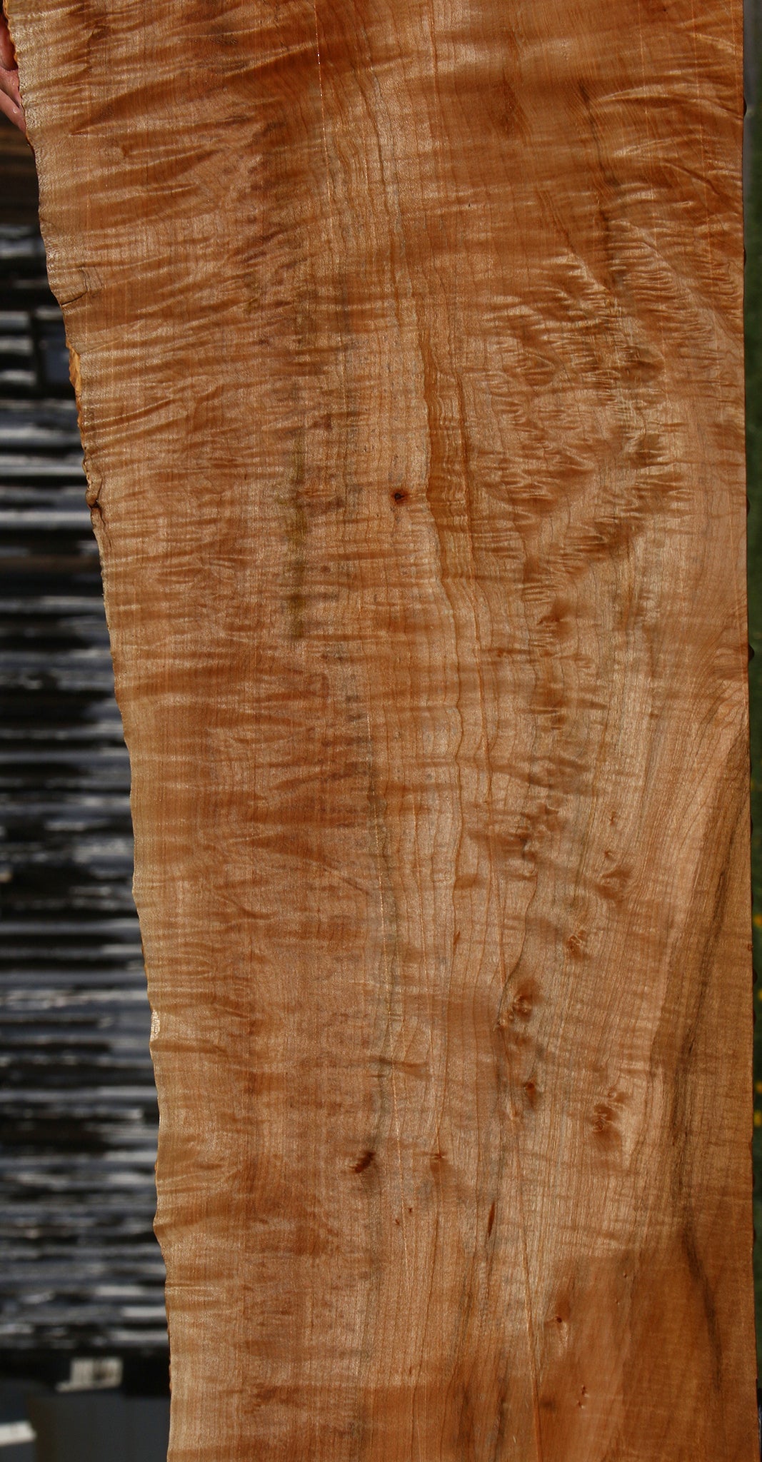 Extra Fancy Maple Live Edge Lumber