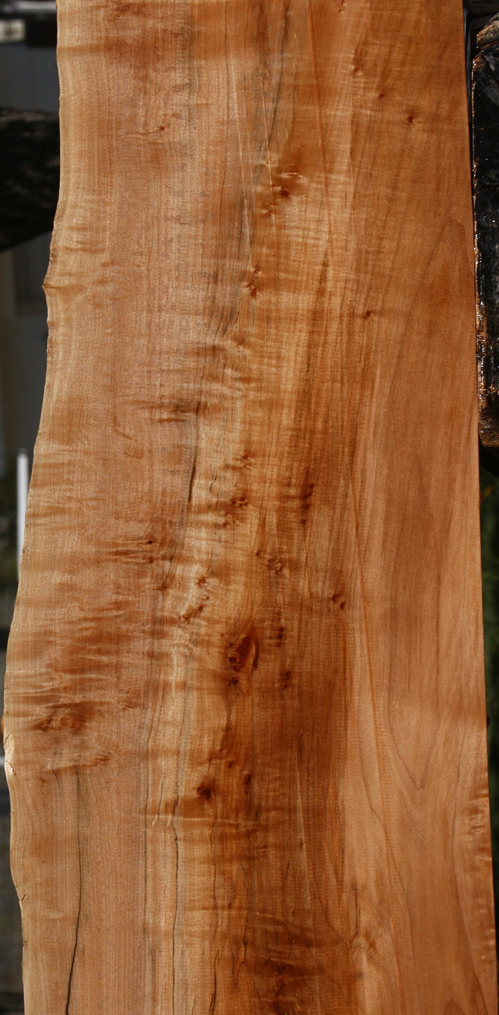 Extra Fancy Maple Live Edge Lumber