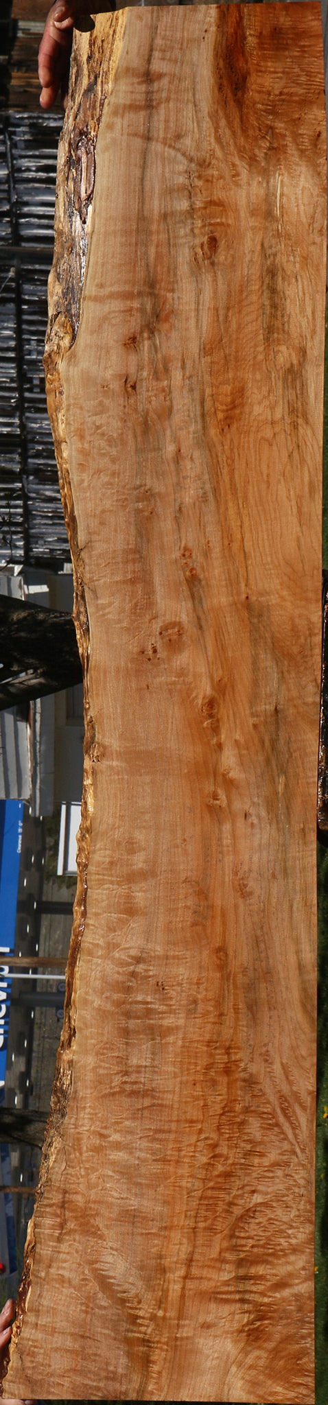 Extra Fancy Maple Live Edge Lumber