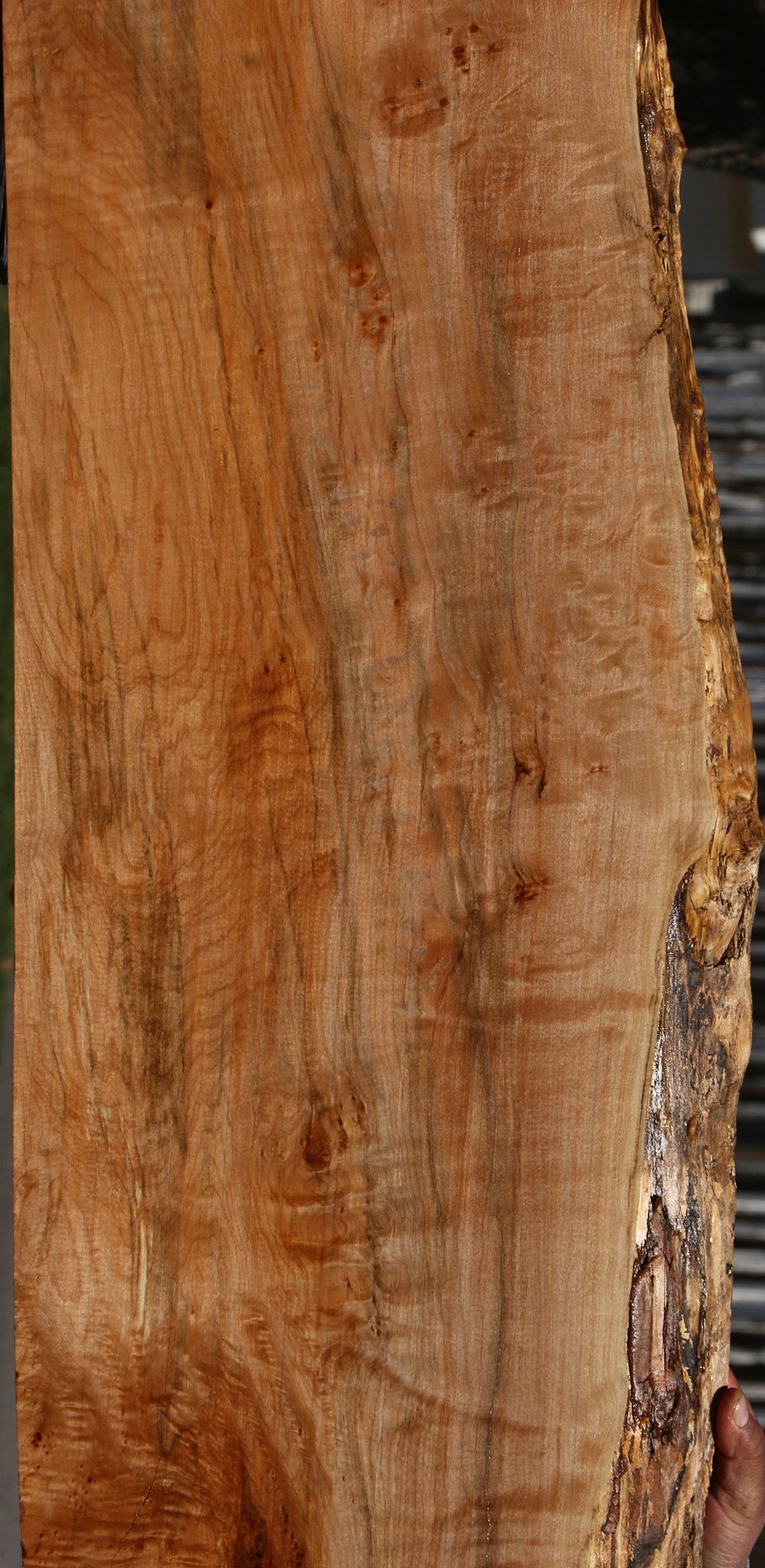 Extra Fancy Maple Live Edge Lumber