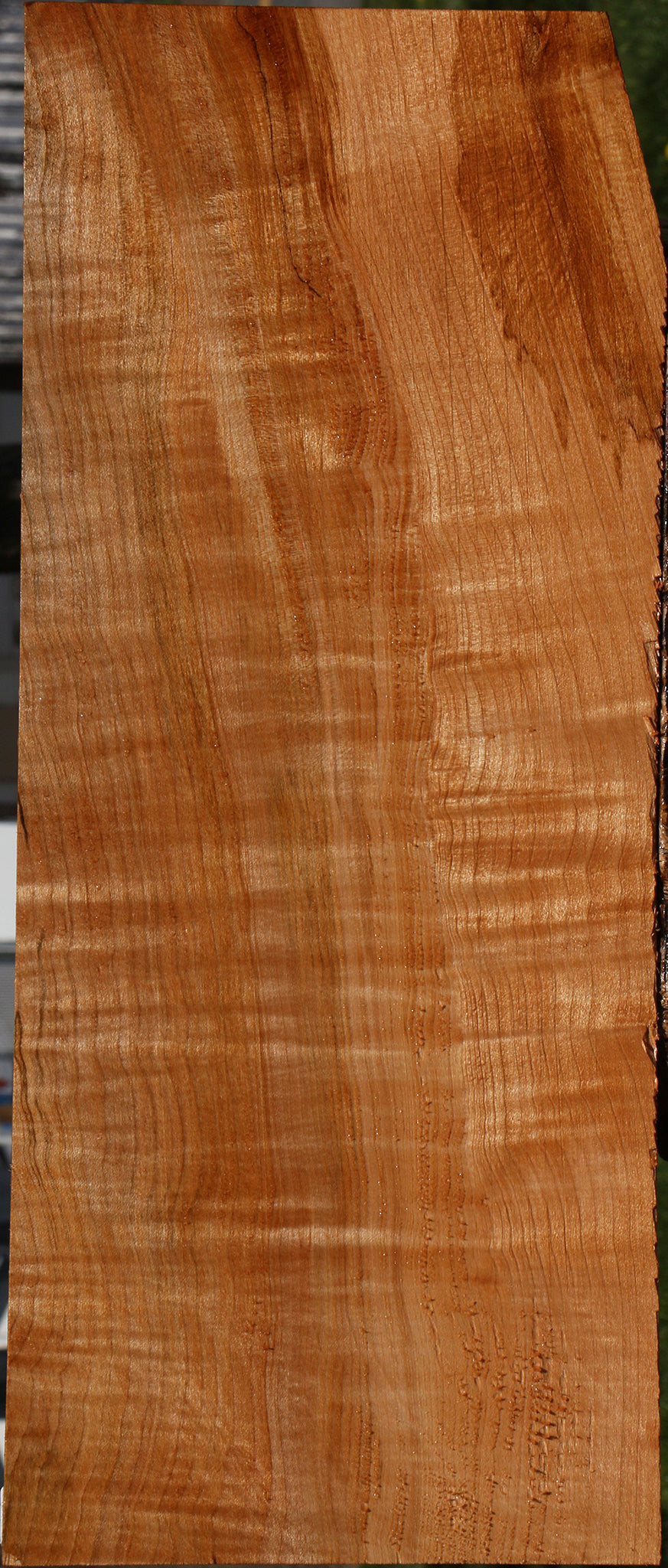 Extra Fancy Maple Instrument Lumber