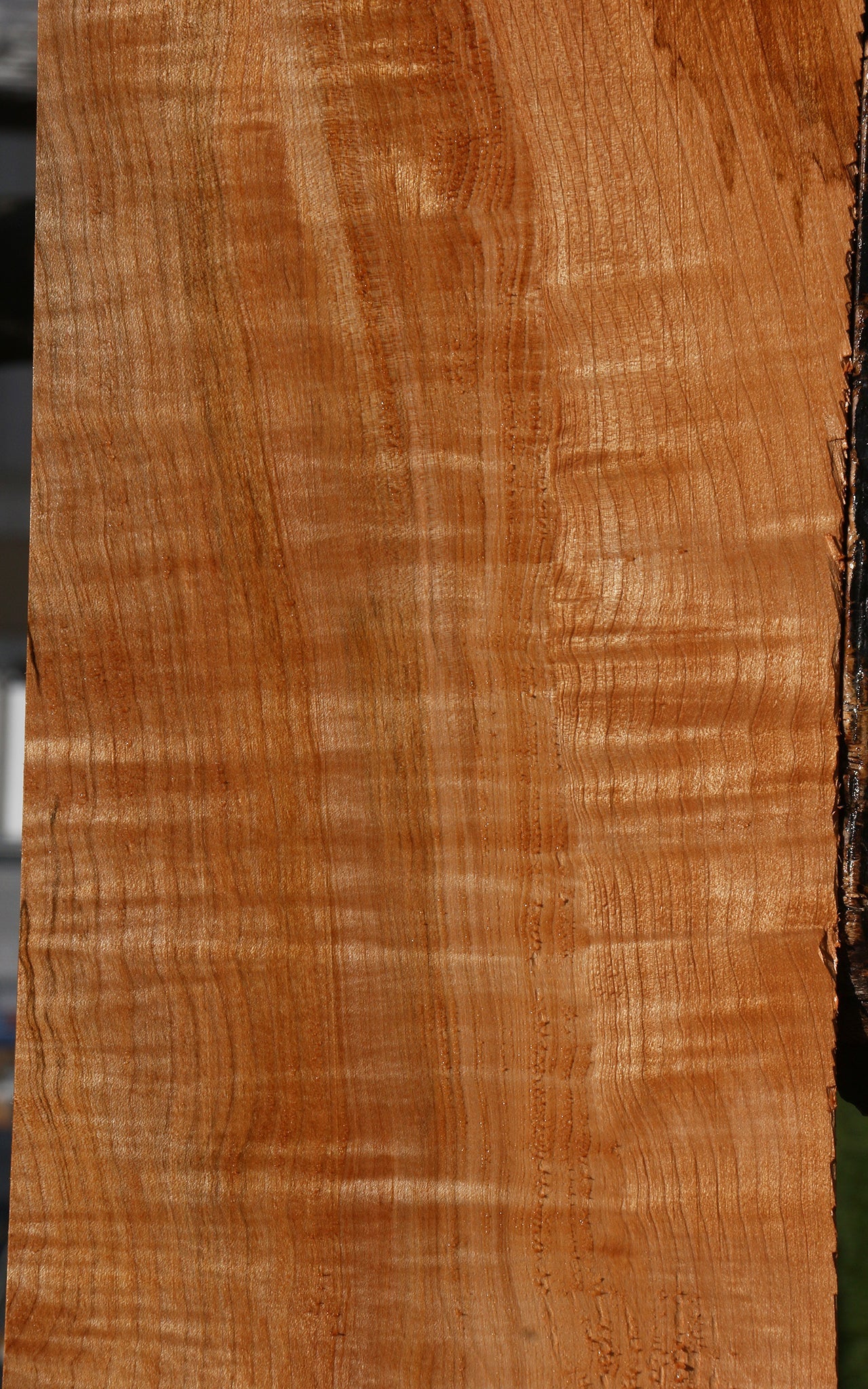 Extra Fancy Maple Instrument Lumber