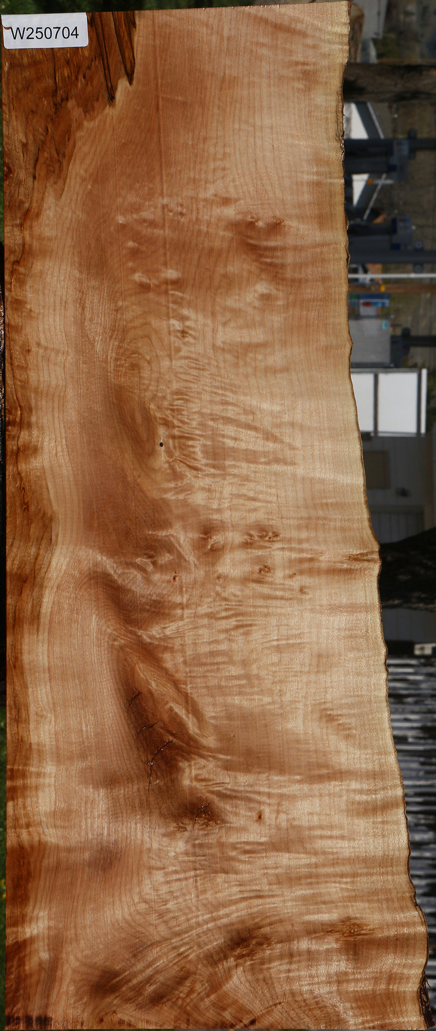 Extra Fancy Maple Live Edge Lumber
