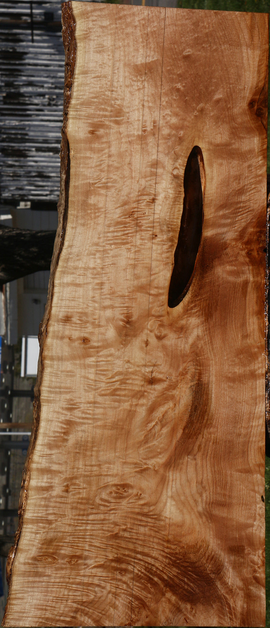Extra Fancy Maple Live Edge Lumber