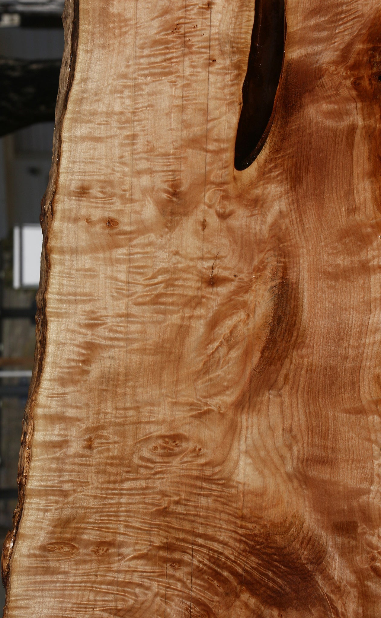 Extra Fancy Maple Live Edge Lumber