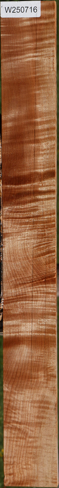 Extra Fancy Maple Lumber