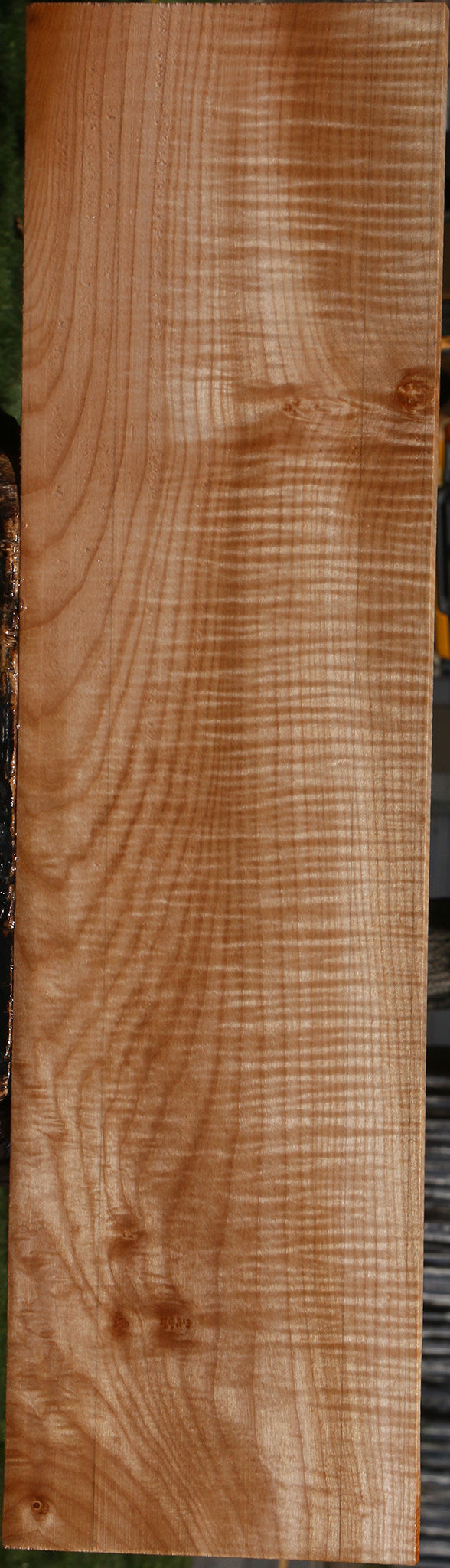 Extra Fancy Maple Lumber