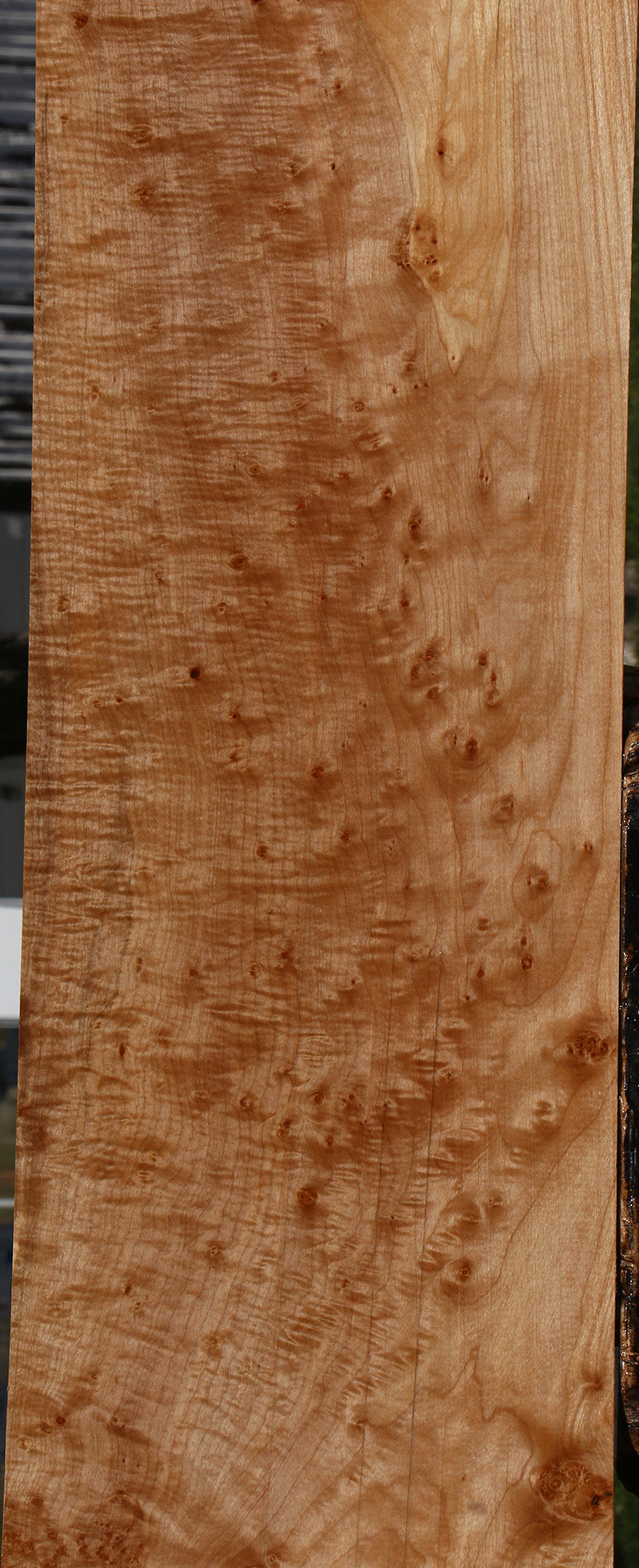 Extra Fancy Maple Lumber