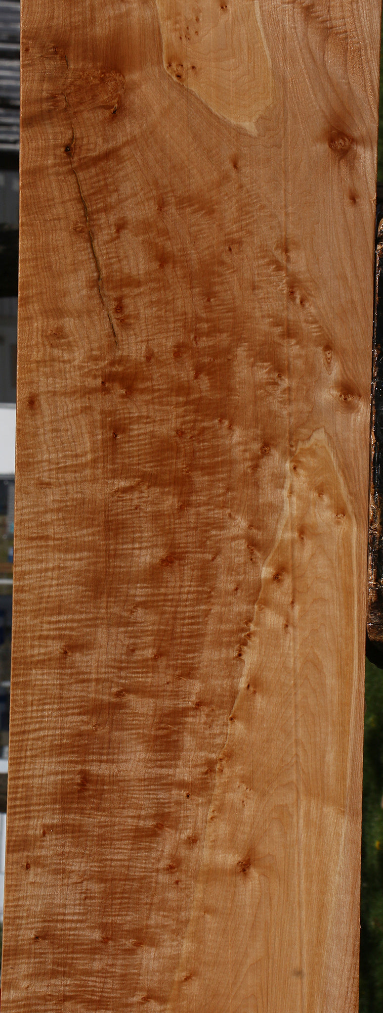 Extra Fancy Maple Lumber