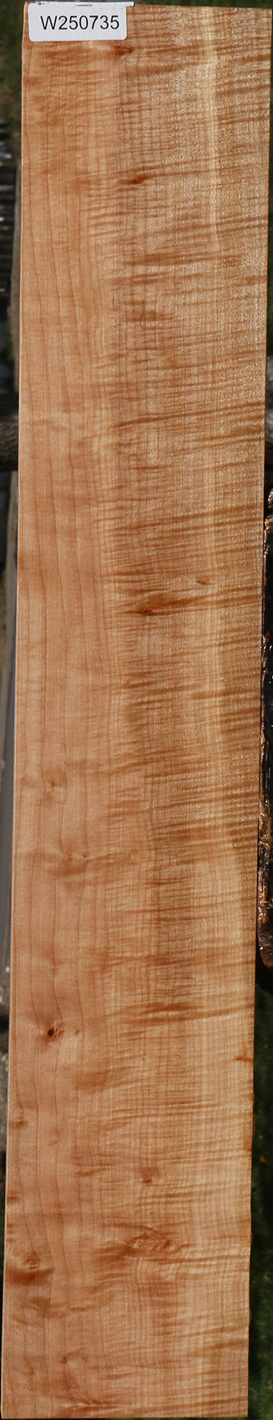 Extra Fancy Maple Lumber