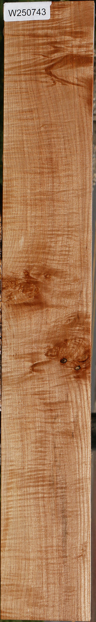 Extra Fancy Maple Lumber