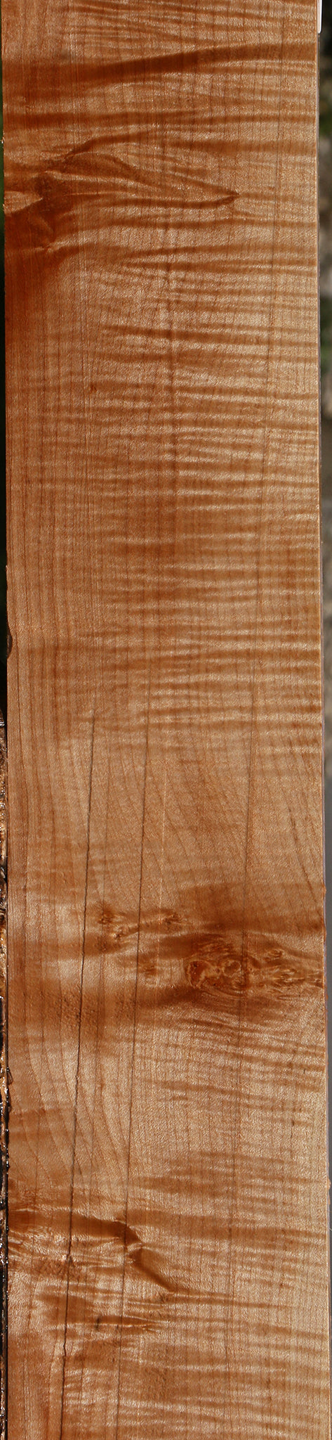 Extra Fancy Maple Lumber