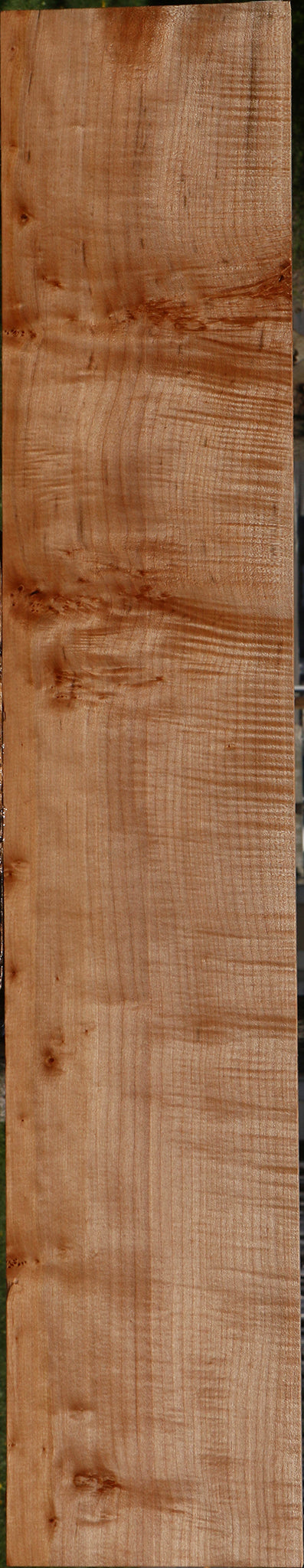 Extra Fancy Maple Lumber
