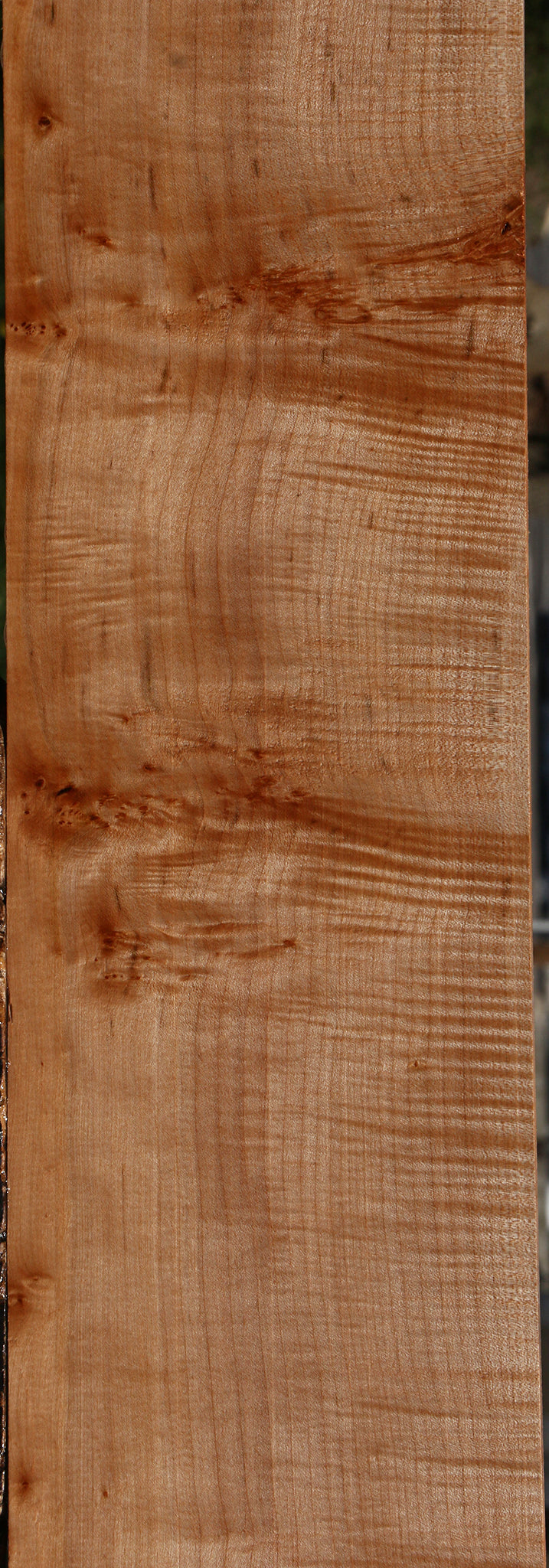 Extra Fancy Maple Lumber