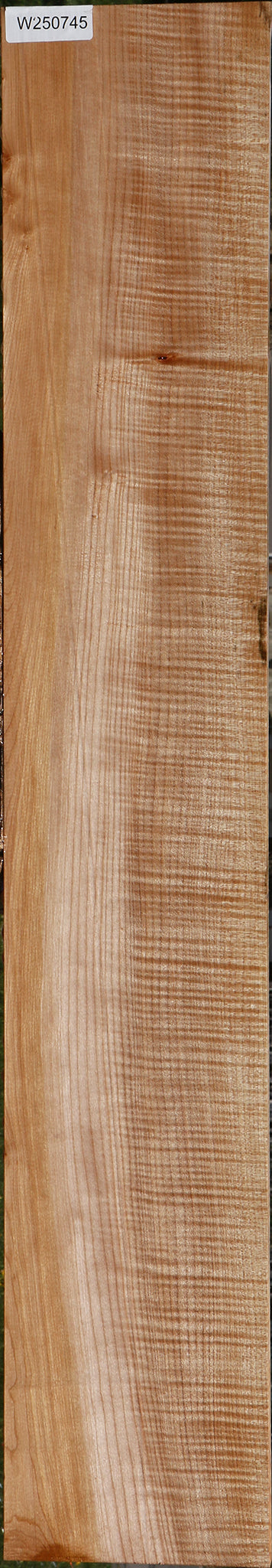 Extra Fancy Maple Lumber