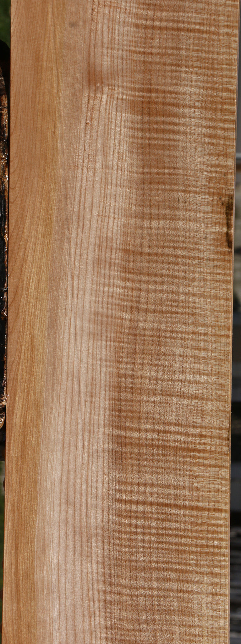 Extra Fancy Maple Lumber